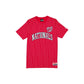 Washington Nationals Throwback Pinstripe Wordmark T-Shirt