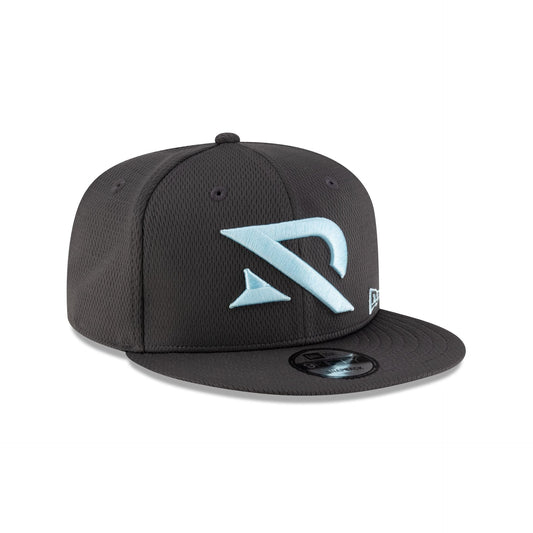 Arlington Renegades Gray 9FIFTY Snapback Hat